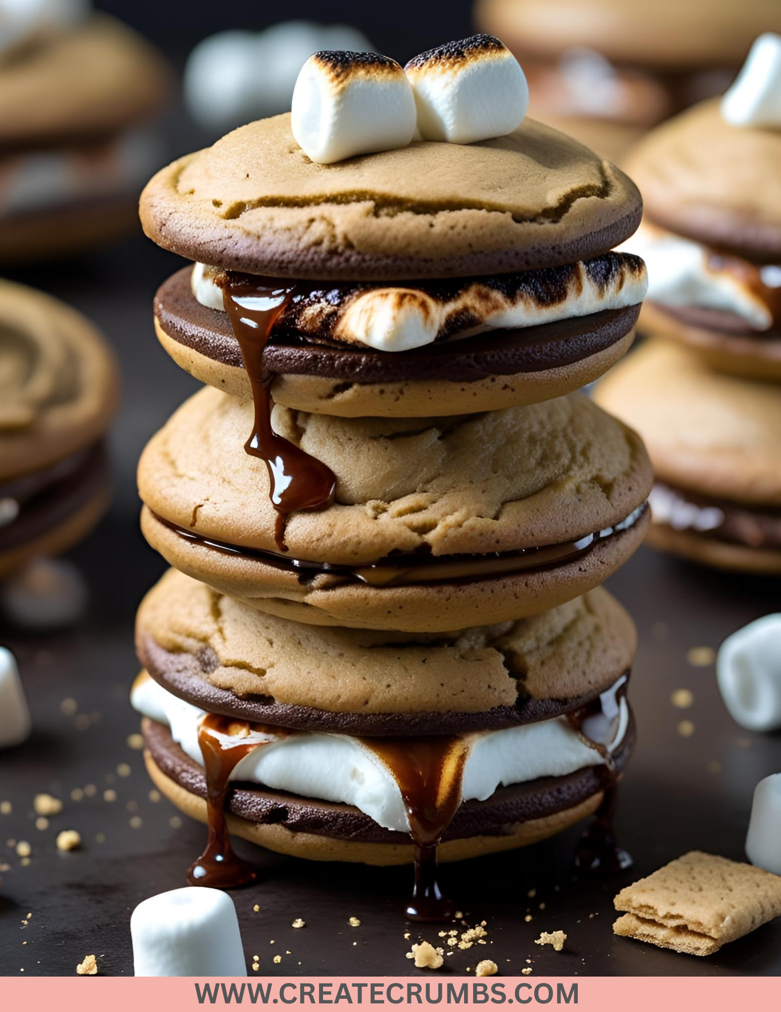S’mores Whoopie Pies
